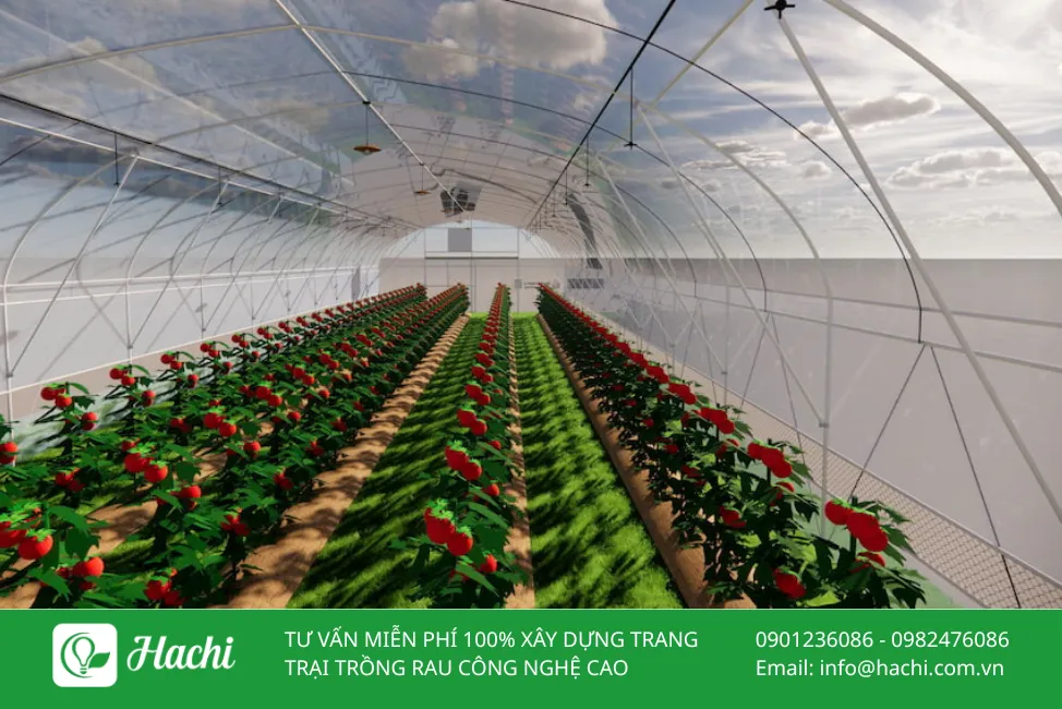 Khung nhà màng tự lắp bằng thép mạ kẽm bền bỉ, chống gỉ sét