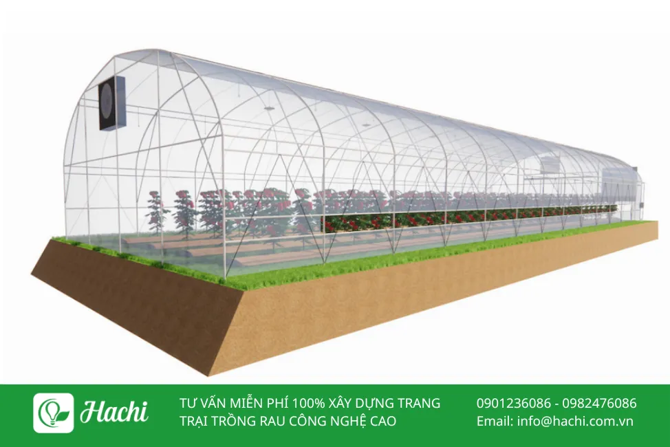 Nhà màng mini gia tự lắp khung vòm hoàn chỉnh cho vườn rau gia đình