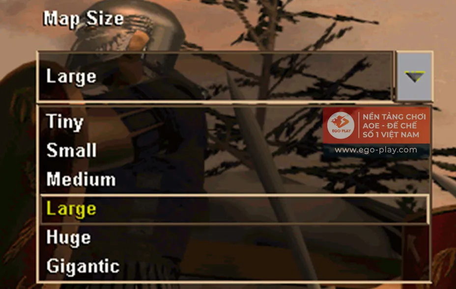 Các Tùy Chọn Kích Thước Bản Đồ (Map Size) Khi Chơi Đế Chế 2 Máy
