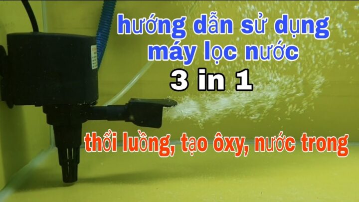 Cách Sử Dụng Máy Bơm Nước Hồ Cá Hiệu Quả Và An Toàn Cách Sử Dụng Máy Bơm Nước Hồ Cá Hiệu Quả Và An Toàn