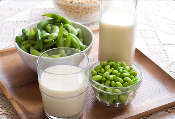 Cách sử dụng máy làm sữa đậu nành Bluestone SMB-7389