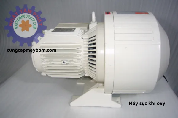 Hướng dẫn cách sử dụng Máy sục khí oxy cho bể cá