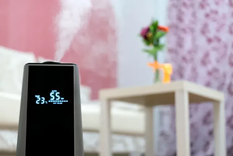 Cách sử dụng máy phun sương tạo độ ẩm đúng cách, với hướng dẫn vệ sinh và chăm sóc.