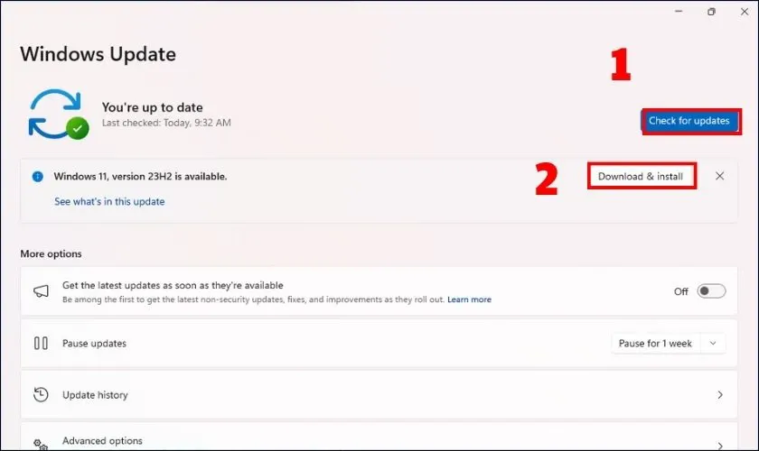Kiểm tra và cập nhật Windows để khắc phục lỗi đơ máy tính