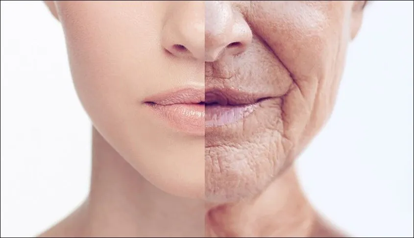 Hơi nước ấm từ máy xông mặt Magic Bullet giúp làn da được thanh lọc, giữ ẩm và ngăn ngừa lão hóa