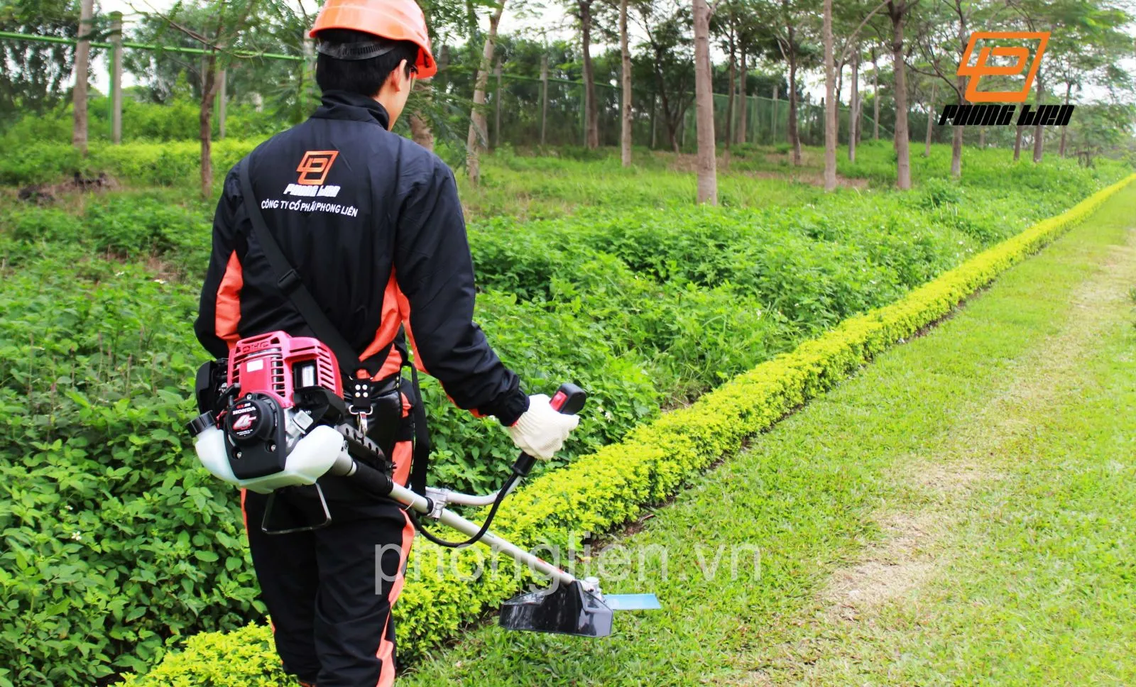 Người dùng đổ nhớt vào động cơ máy cắt cỏ Honda 4 thì, quy trình bảo dưỡng định kỳ quan trọng