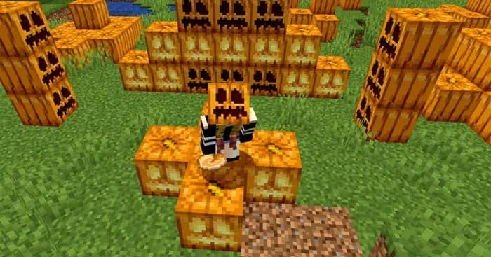 Bí ngô tự nhiên trong Minecraft, nguyên liệu ban đầu để chế tạo máy farm bí ngô