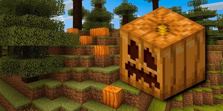 Vị trí bí ngô mọc tự nhiên trong các quần xã sinh vật Minecraft để thu thập hạt