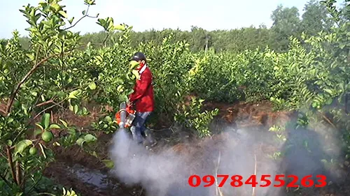 Cách Sử Dụng Máy Phun Khói Để Bảo Vệ Cây Trồng Hiệu Quả