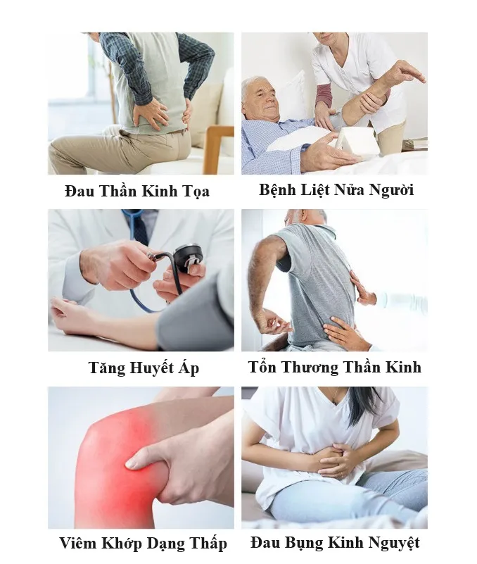 Máy điện sinh học DDS là gì? Hướng dẫn cách sử dụng máy điện sinh học DDS