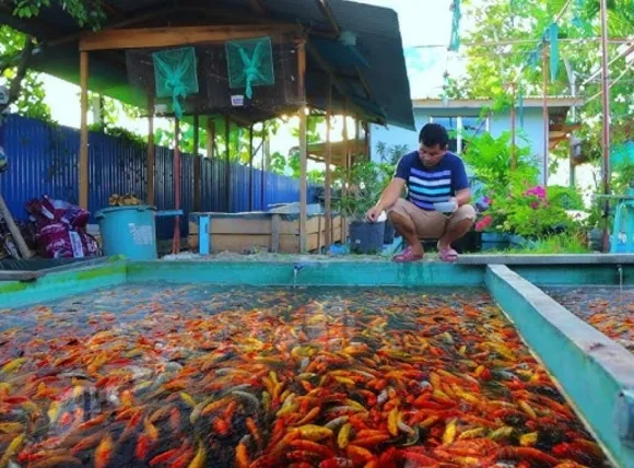 Các phương pháp lọc nước giếng khoan đa dạng, giúp lựa chọn cách lọc nước giếng khoan nuôi cá tối ưu