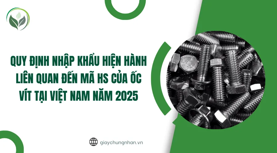 Quy định nhập khẩu hiện hành liên quan đến mã HS của ốc vít tại Việt Nam năm 2025