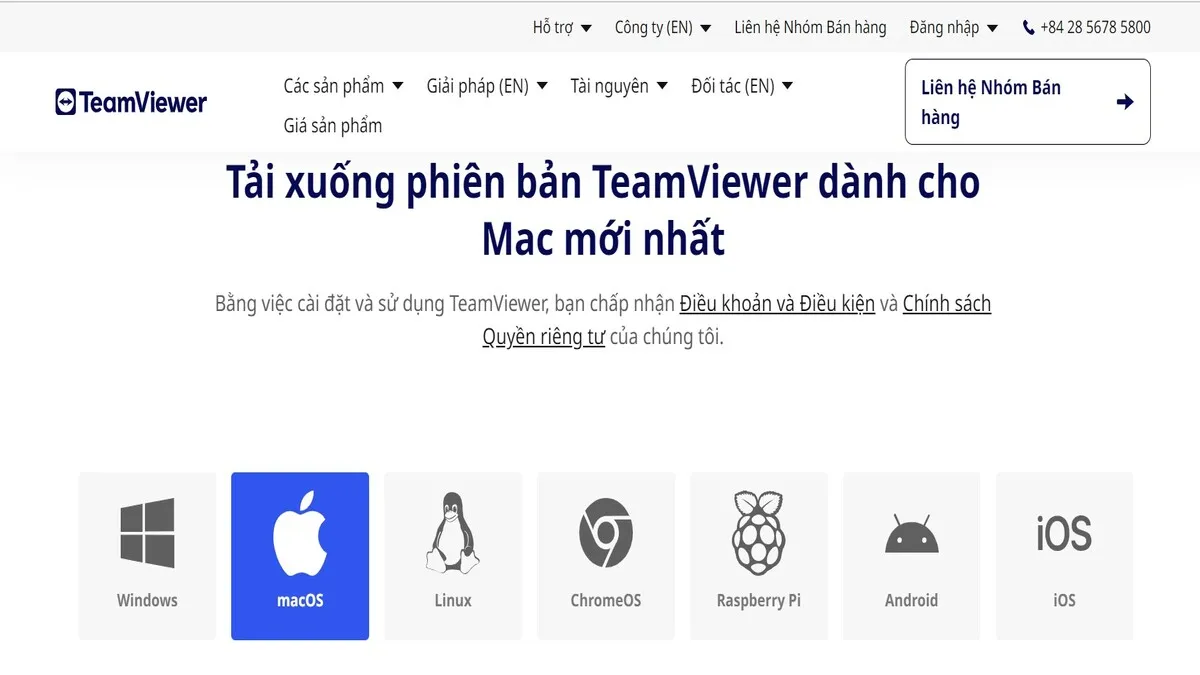 Giao diện tải TeamViewer trên Windows, minh họa **cách sử dụng TeamViewer trên máy tính** cho người dùng mới.