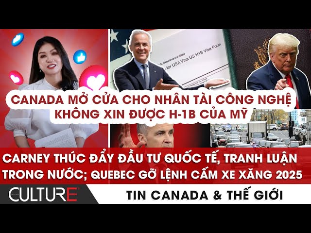 Cách Mở Cửa Sổ Nhập Lệnh Trên Máy Tính Mac Nhanh Chóng, Hiệu Quả Cách Mở Cửa Sổ Nhập Lệnh Trên Máy Tính Mac Nhanh Chóng, Hiệu Quả