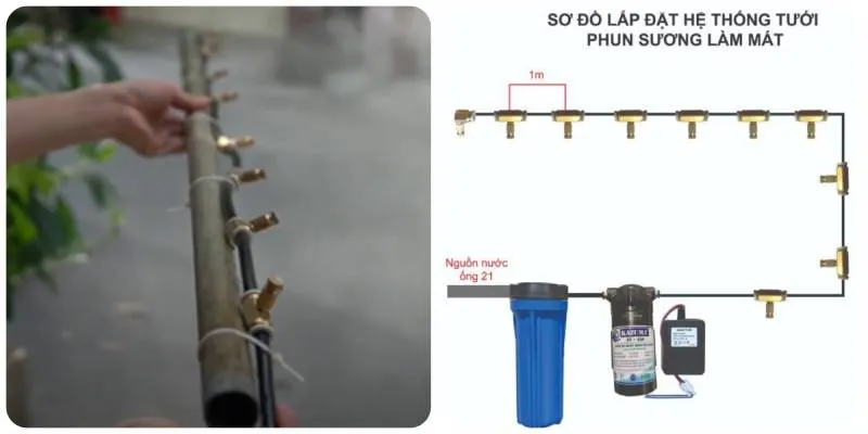 Sơ Đồ Lắp Đặt Hệ Thống Phun Sương Làm Mát và Tưới Tiêu Hiệu Quả