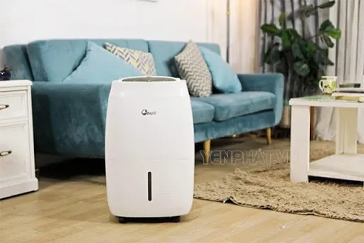 Mẹo sử dụng máy hút ẩm để kéo dài tuổi thọ