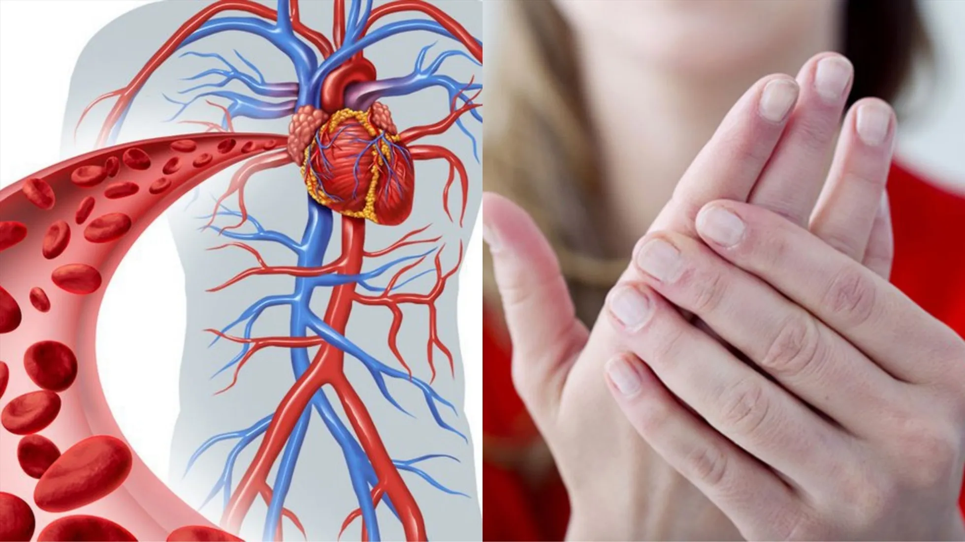 Máy ngâm chân Aonicon giúp tăng cường lưu thông tuần hoàn máu hiệu quả cho người dùng