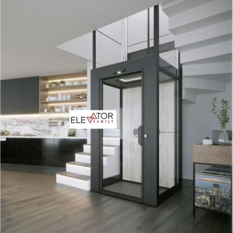 Thang máy gia đình trục vít: Giải pháp Hoàn Hảo Nâng Tầm Không Gian Sống Sang Trọng