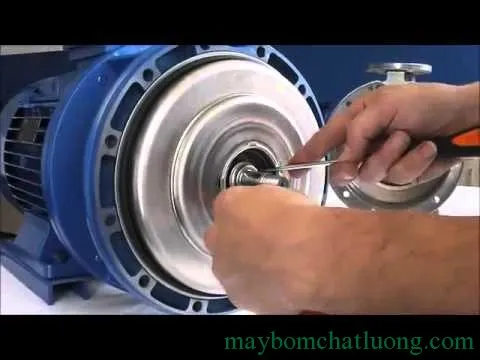 Hướng dẫn chi tiết cách tháo máy bơm nước: Quy trình tháo phớt cơ khí cẩn thận