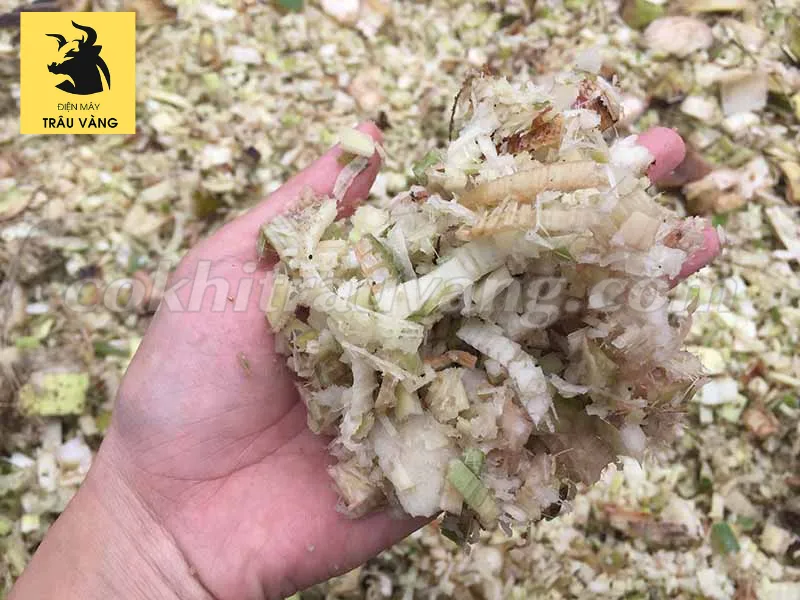 Máy băm chuối cây đa năng, cần bảo dưỡng định kỳ bao gồm cách lắp dao máy thái chuối