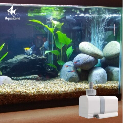 Cách Sử Dụng Máy Bơm Nước Hồ Cá Hiệu Quả Và An Toàn Cách Sử Dụng Máy Bơm Nước Hồ Cá Hiệu Quả Và An Toàn