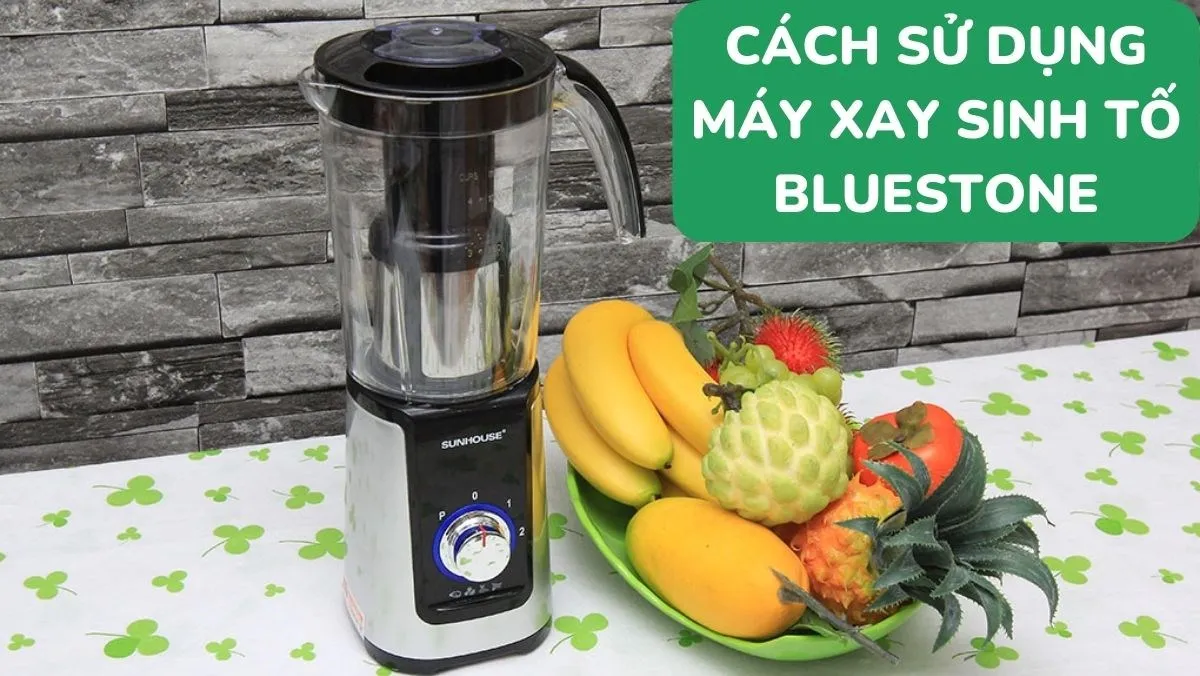 Tổng quan về máy xay đa năng Bluestone và các chức năng chính