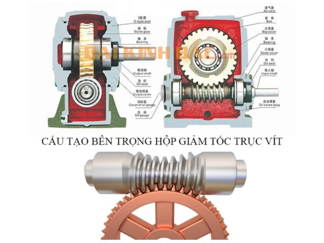 cơ cấu trục vít bánh vít: Nguyên Lý, Cấu Tạo và Ứng Dụng Trong Kỹ Thuật Cơ Khí
