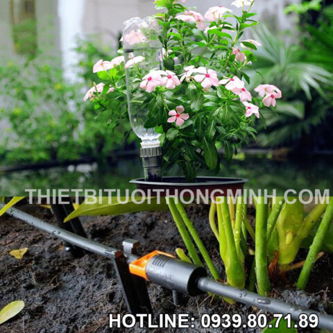 Phương pháp tưới nhỏ giọt hiệu quả cho nhiều loại cây trồng