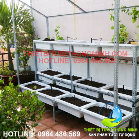 Bộ kit tự lắp đặt hệ thống tưới nhỏ giọt cho rau trên ban công