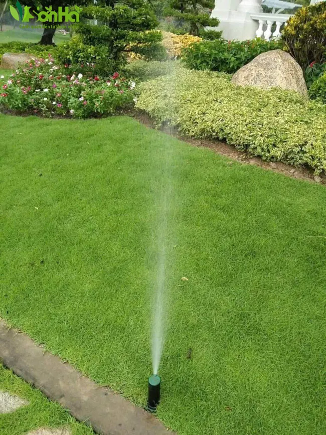 Cảnh quan sân vườn xanh tươi nhờ hệ thống tưới cây tự động