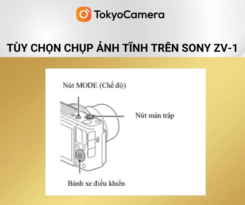 Chụp ảnh tĩnh chuyên nghiệp với máy ảnh kỹ thuật số Sony ZV-1