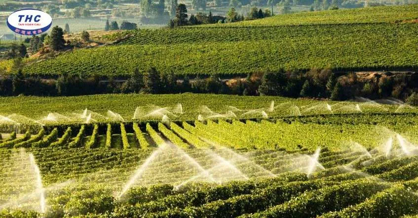 Ứng dụng phổ biến của máy bơm nước tưới cây