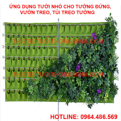 Vườn tường đứng với hệ thống tưới nhỏ giọt tự động