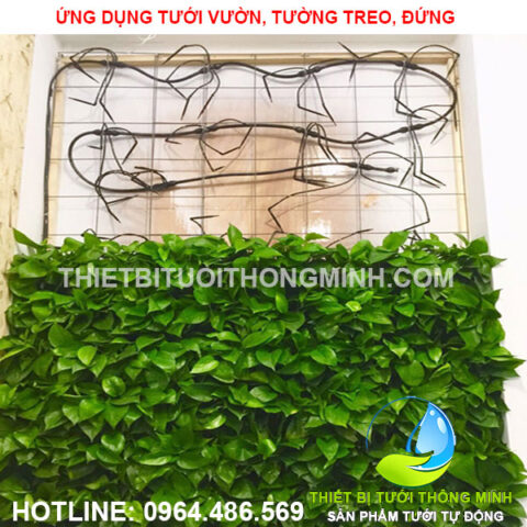 Hệ thống tưới nhỏ giọt cho vườn rau tường đứng trong nhà