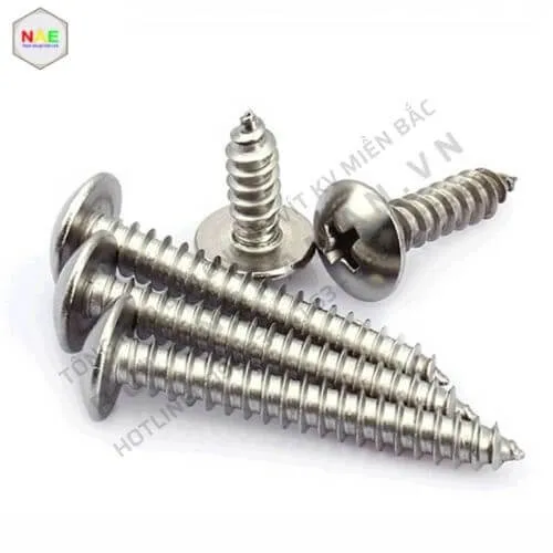 Hình ảnh tổng quan về các loại vít bắt gỗ phổ biến trên thị trường, minh họa đa dạng đầu vít và ren.