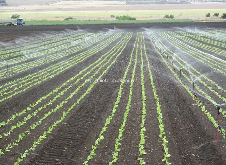 Thiết bị tưới tự động quy mô lớn, tối ưu hóa quản lý nước cho nông nghiệp