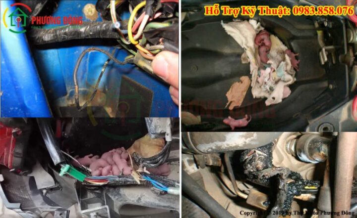 Cách Sửa Xe Máy Bị Mất Điện Hoàn Toàn Chính Xác Và An Toàn